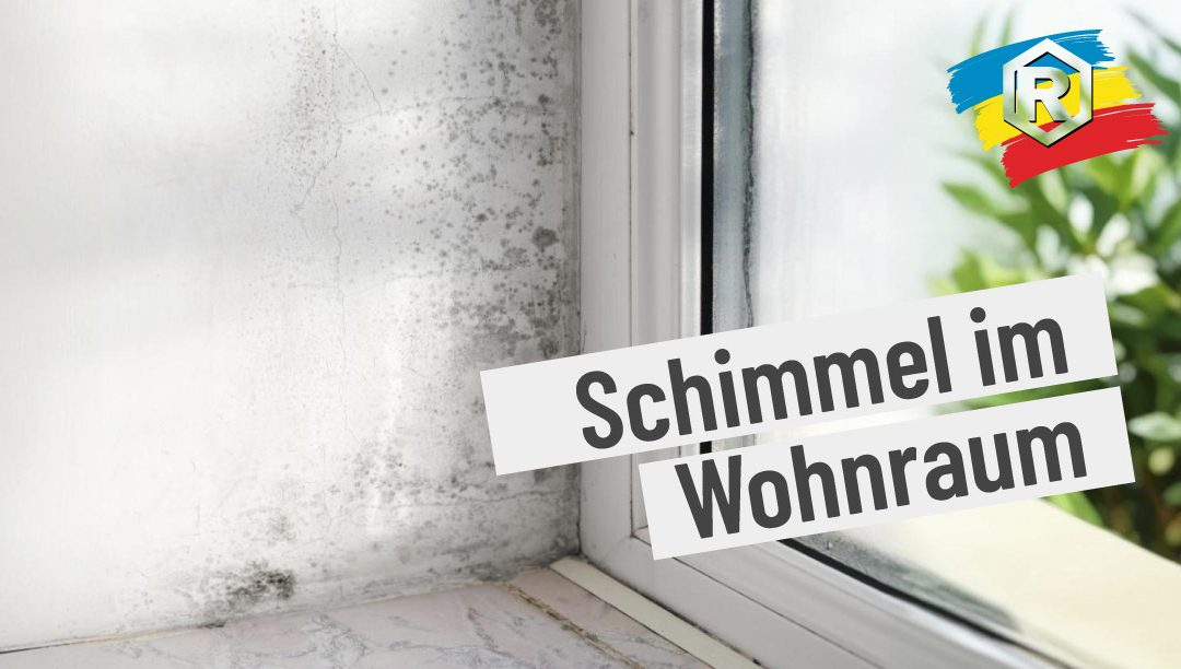 Schimmel entfernen und vorbeugen